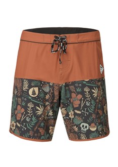 Andy 17 Boardshorts